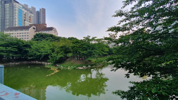  6월의 안흥지 이천의 명소입니다