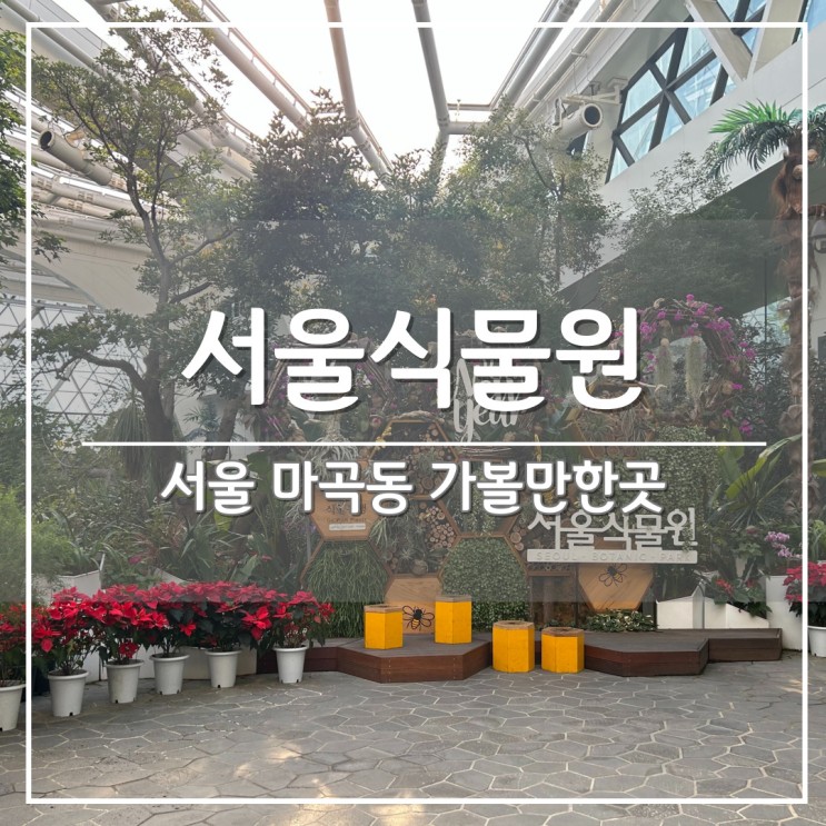 비 오는 날, 서울 실내 데이트 가볼 만한 곳: '마곡 서울식물원' 온실 투어