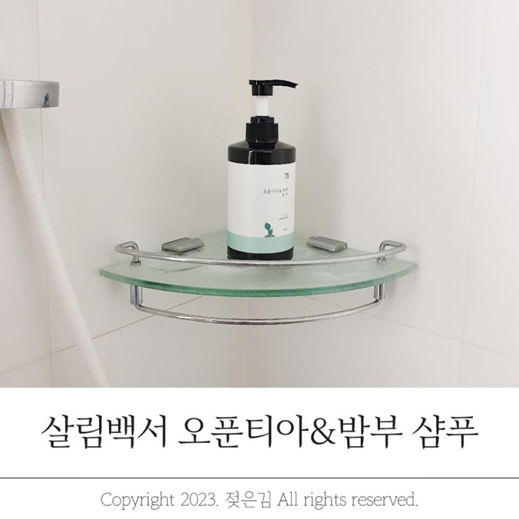 살림백서 오푼티아&밤부 여름에 쓰기 좋은 샴푸 추천 살림백서 오푼티아&밤부 여름에 쓰기 좋은 샴푸 추천