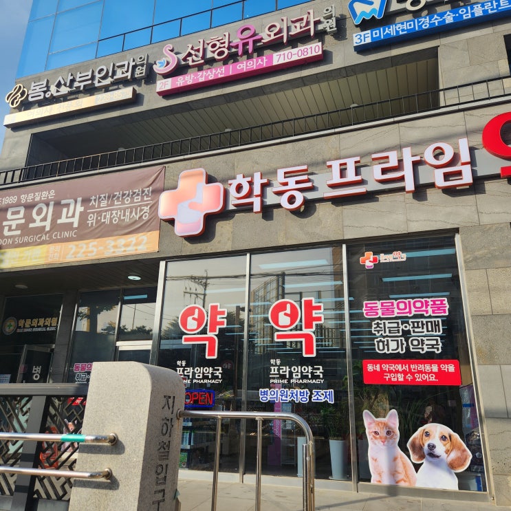  맘모톰 리얼후기 2탄 시술후 관리 및 통증잡는 팁 보험청구 수술비 feat 광주 선형유외과