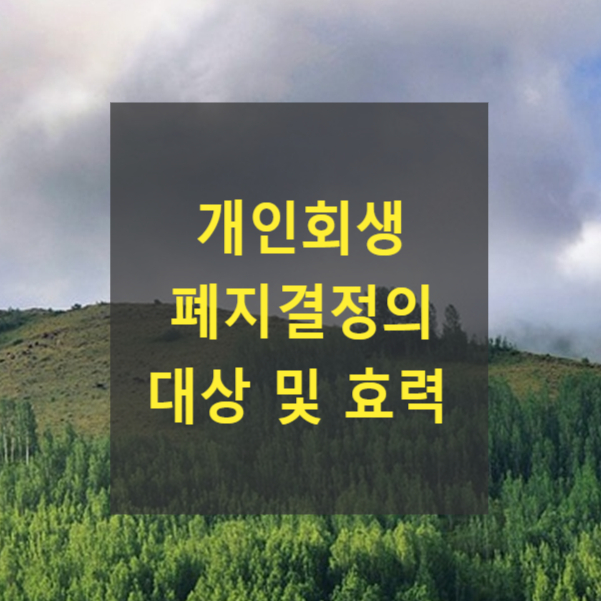  개인회생 폐지결정의 대상 및 효력