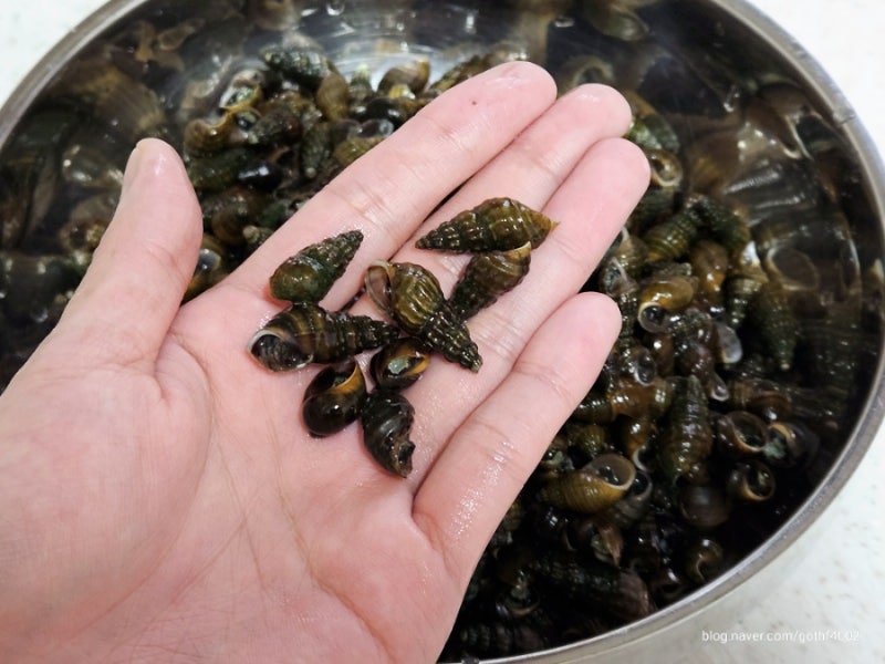 다슬기 삶는법 및 보관법 , 요리 활용 올갱이해장국 만들기