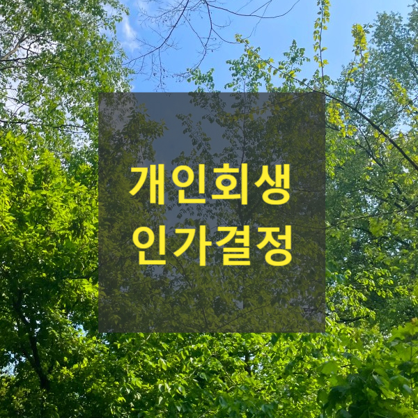  개인회생 인가결정