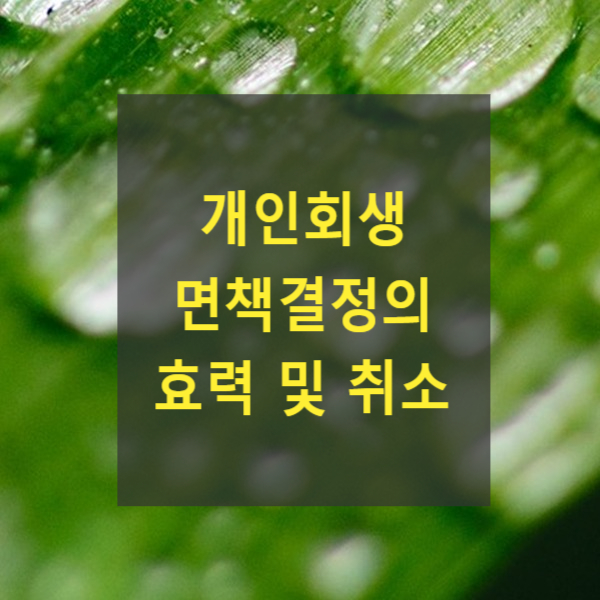  개인회생 면책결정의 효력 및 취소