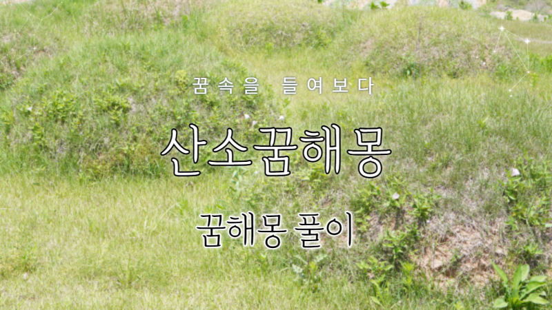 산소꿈해몽 풀이 [산소보이는꿈, 이장하는꿈, 벌초꿈 등]해석