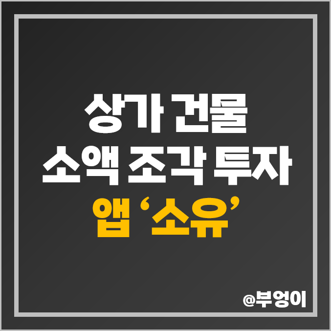 [루센트블록 소유 앱] 부동산 투자 상가 건물 매매, 부동산 조각 투자 소액 재테크