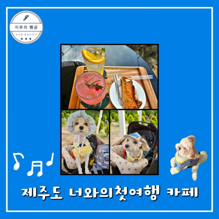  너와의첫여행 카페ㅣ제주 애견동반 애월 감성 카페 추천 내돈내산