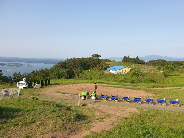  남해 양모리학교! 가본 양떼목장중 최고