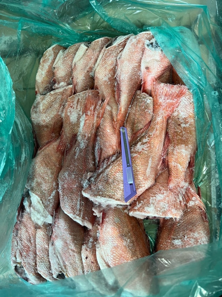  장문볼락,손질적어,두절적어,적어드레스(냉동수산물업체,삼풍수산)