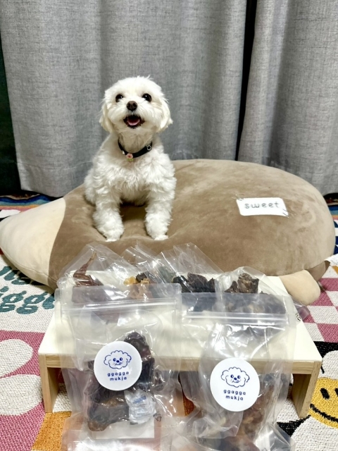  까다로운 입맛 깡이도 잘 먹는 강아지 수제간식, 까까묵자!