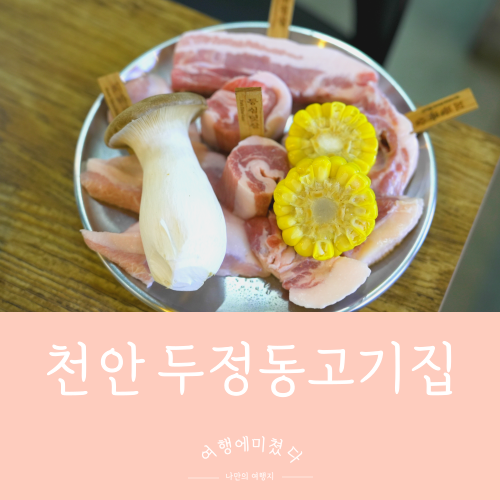  식껍천안두정점 충남 천안 두정동 삼겹살맛집 돼지고기 숯불쭈꾸미    두정동모임 하기 좋은 곳