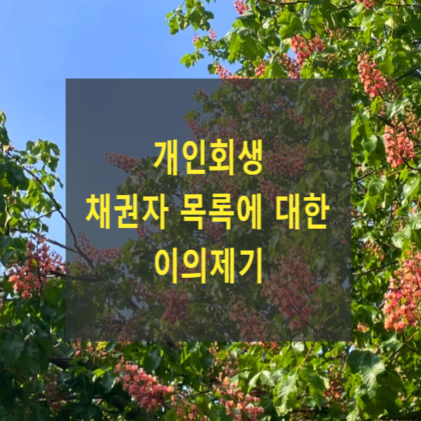  개인회생 채권자 목록에 대한 이의제기