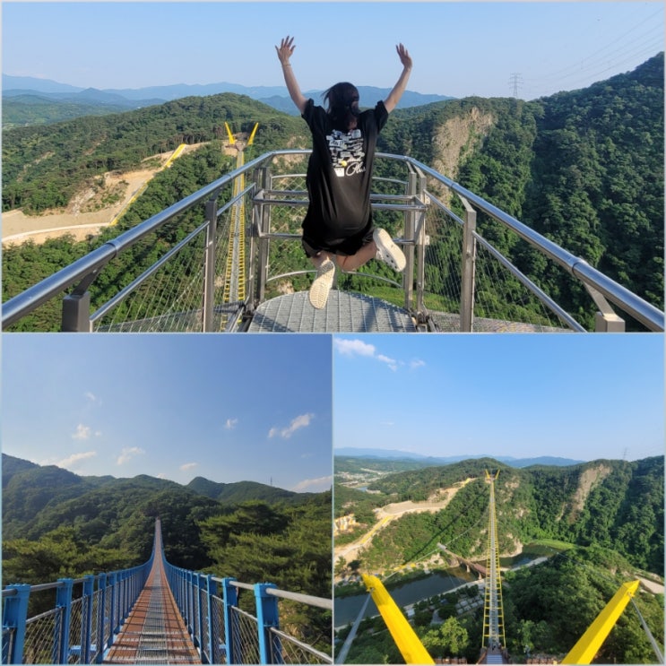  강원도 원주 소금산 출렁다리&울렁다리️