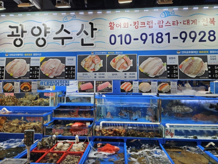  가락시장 횟집 추천 광양수산 송파구 민어 제철 모둠 회