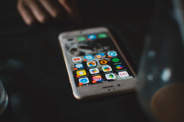 전세사기 사전예방 안심전세 App 전세사기 사전예방 안심전세 App