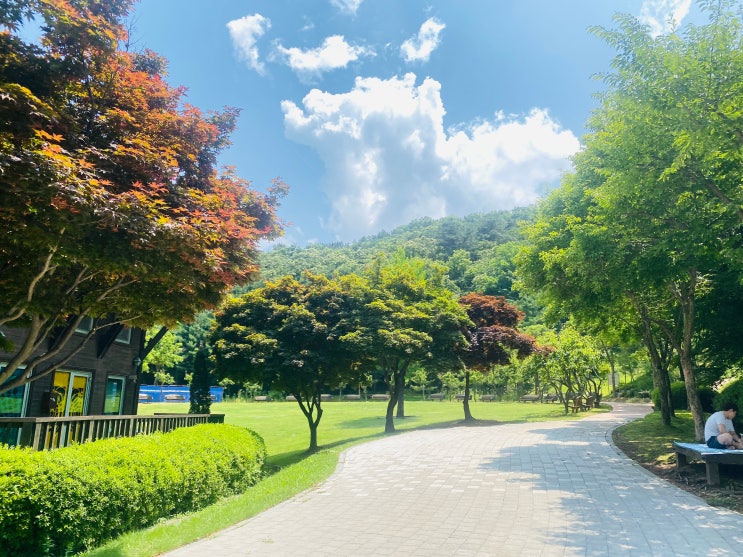  경기도 김포 바닥분수 물놀이장이 있어 아이와 함께 가족 나들이하기 좋은 테마공원 태산패밀리파크