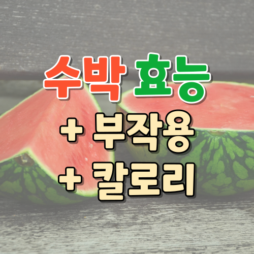  수박 효능, 칼로리, 부작용까지 한 번에 정리