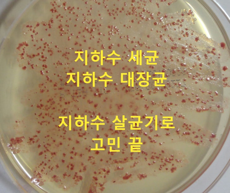 지하수살균기, 강원 원주 상업시설, 지하수수질검사 일반세균 대장균 검출 지하수 살균기 납품 DIY 설치 지하수살균기, 강원 원주 상업시설, 지하수수질검사 일반세균 대장균 검출 지하수 살균기 납품 DIY 설치