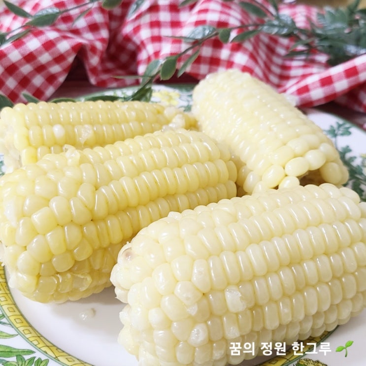  냉동옥수수 전자레인지 해동 찰옥수수 전기밥솥에 맛있게 삶는법  간단하게 찌는법 찰옥수수 칼로리