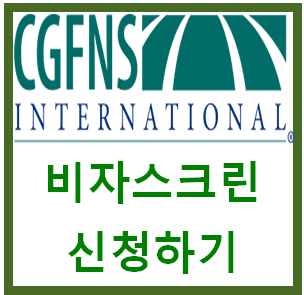  혼자 비자스크린 신청하기 (Visa Screen/CGFNS)