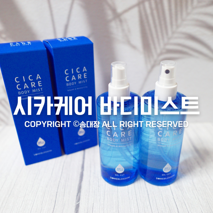 시카케어 바디미스트 300ml / 송대장