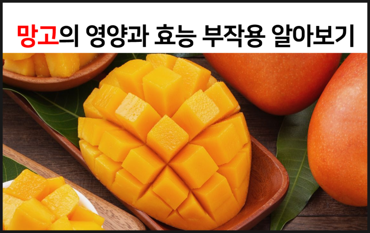  망고의 영양과 효능 부작용을 알아보자