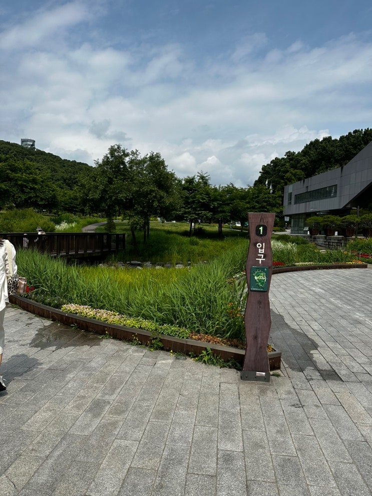  북 서울 꿈의 숲 피크닉 다녀온 후기