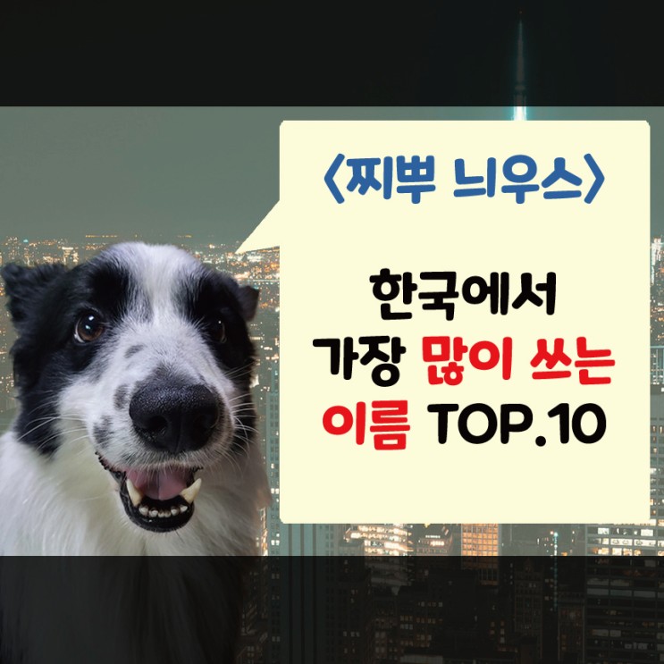 강아지 이름 순위 top 10, 어떤 이름이 가장 많을까?