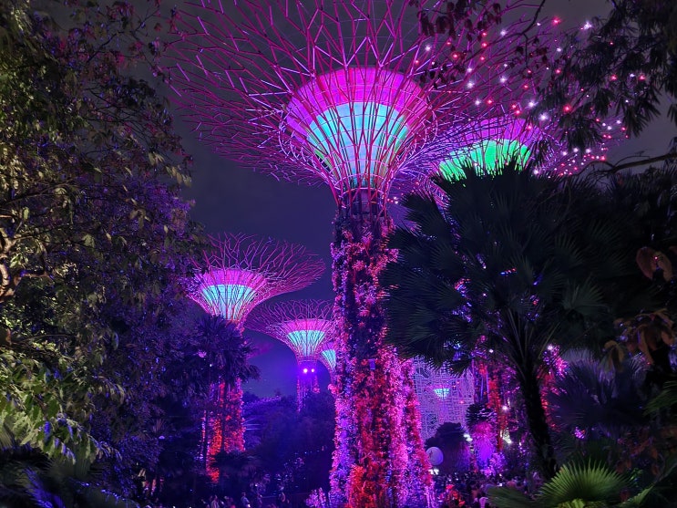 싱가포르| 가든스바이더베이 | 마리나베이 | 머라이언공원 | 창이공항