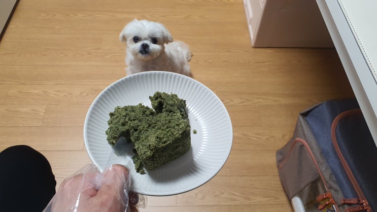 인제떡방 쑥설기 김해전통시장 포슬포슬한떡