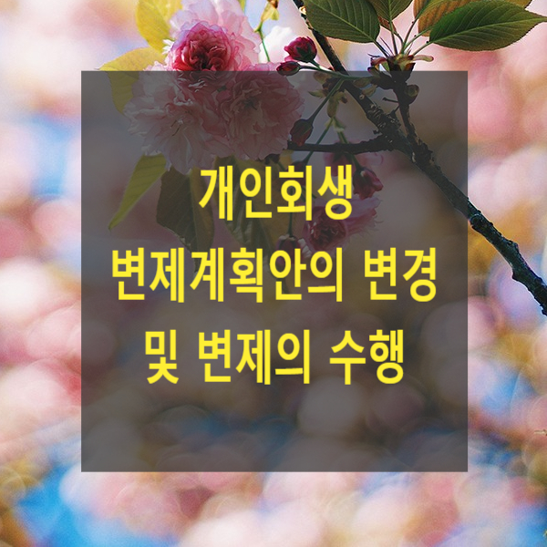  개인회생 변제계획안의 변경 및 변제의 수행