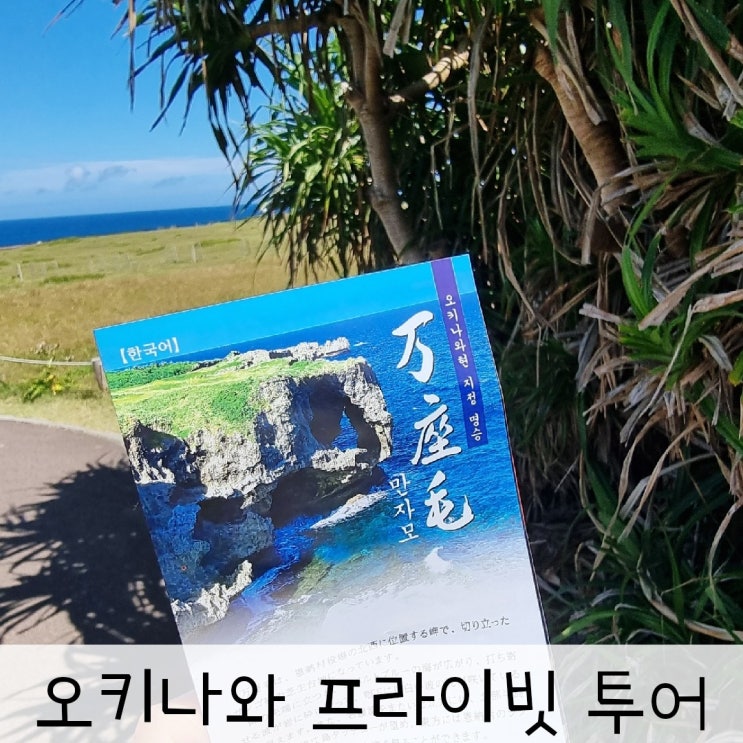 오키나와 북부 투어 <b>마이리얼트립</b> 예약 후기