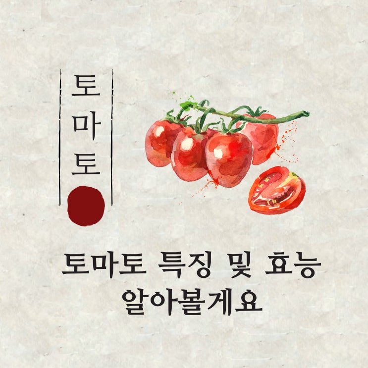 토마토 효능 및 토마토에 대한 여러가지 정보