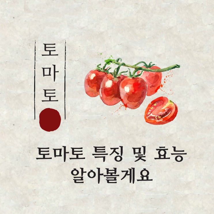  토마토 효능 및 토마토에 대한 여러가지 정보
