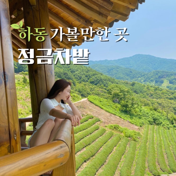  하동 정금차밭 단금정 녹차밭 여행코스 가볼만한곳