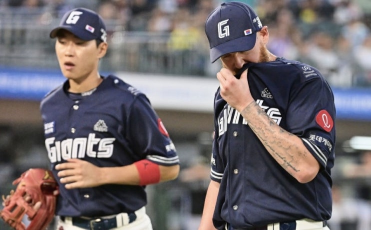 2023시즌 KBO 국내 프로야구 분석 6/14일 롯데 한화 키움 KIA기아