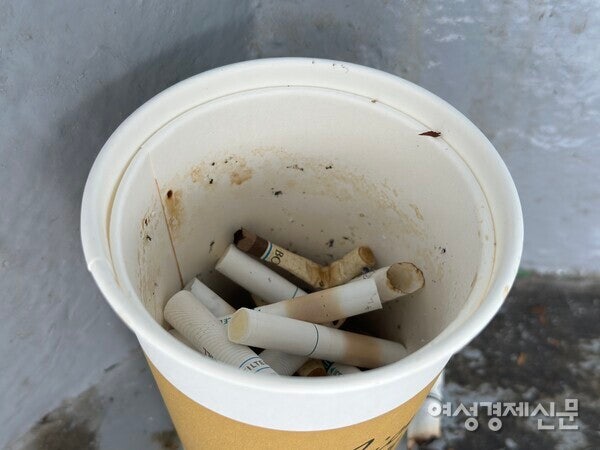 AI의 경고 : 90년대생 65세 되는 2060년엔 '고독사 10배 증가' AI의 경고 : 90년대생 65세 되는 2060년엔 '고독사 10배 증가'
