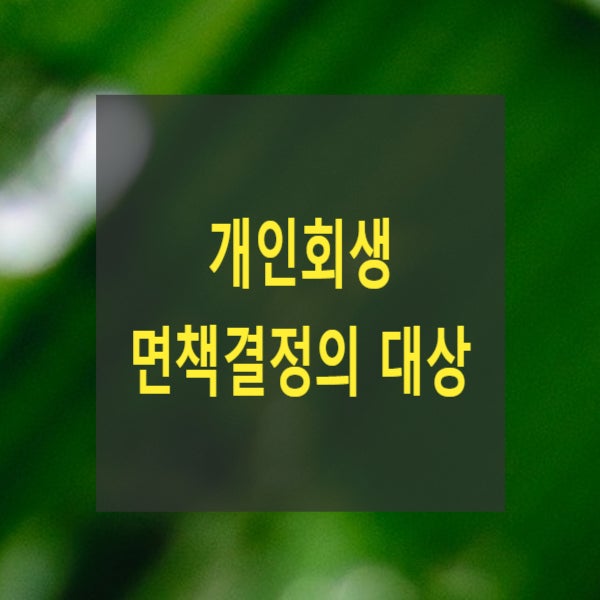  개인회생 면책결정의 대상 등
