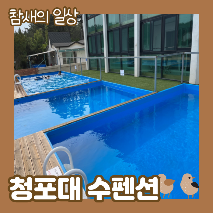  태안 안면도 청포대 '수펜션' 수영장 있는 숙소 방문 후기