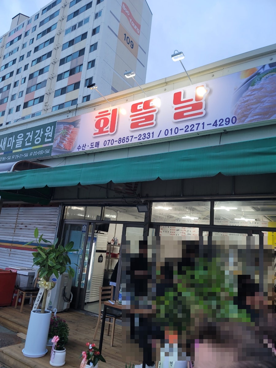 회뜰날 사진 1