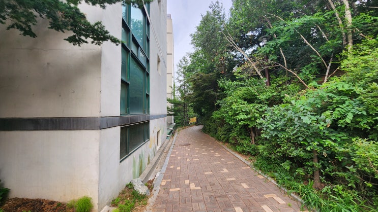  가볍게 할 수 있는 동네 공원 산책