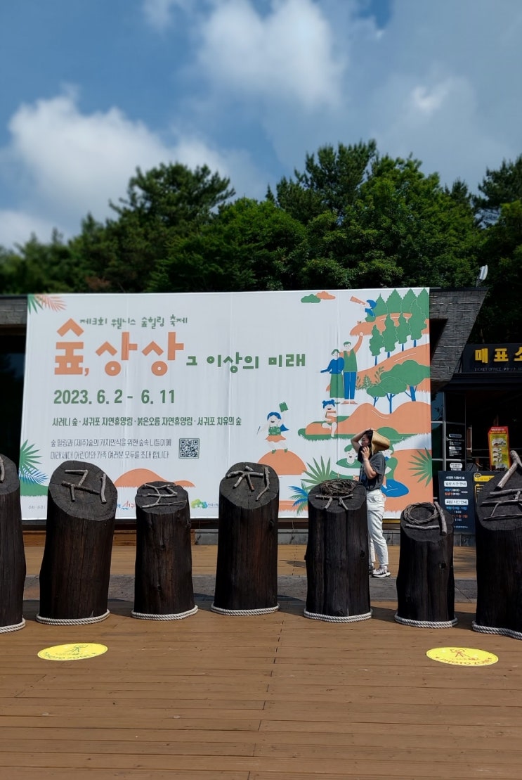 제주도 서귀포 치유의 숲 걷기 좋은 서귀포 갈만한곳 산책 코스 제주도 서귀포 치유의 숲 걷기 좋은 서귀포 갈만한곳 산책 코스