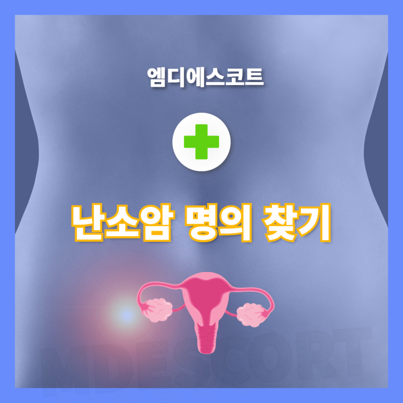 난소암 명의를 찾고 있다면 바로 확인하세요.