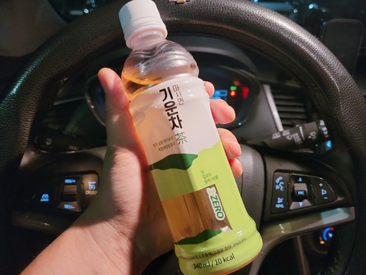  건강차 추천 마시면 기운차 든든한 버섯차 후기