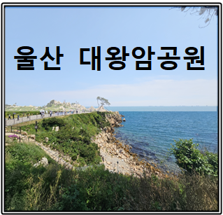  울산 대왕암 공원