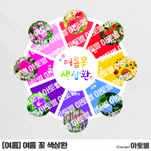  어린이집 여름꽃 색상환, 여름꽃 활동지, 여름꽃 색깔놀이, 여름꽃 이름쓰기 활동지, 여름꽃 선 잇기 활동지, 여름꽃으로 명화 재구성하기 활동지, 여름꽃 색상환 활동지, 여름 활동지