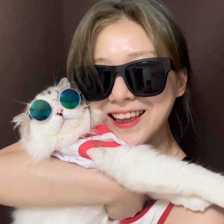  블로그씨 질문; 뜨거운 여름 필수 템