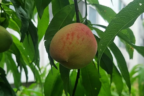 산소노래연습장 이미지