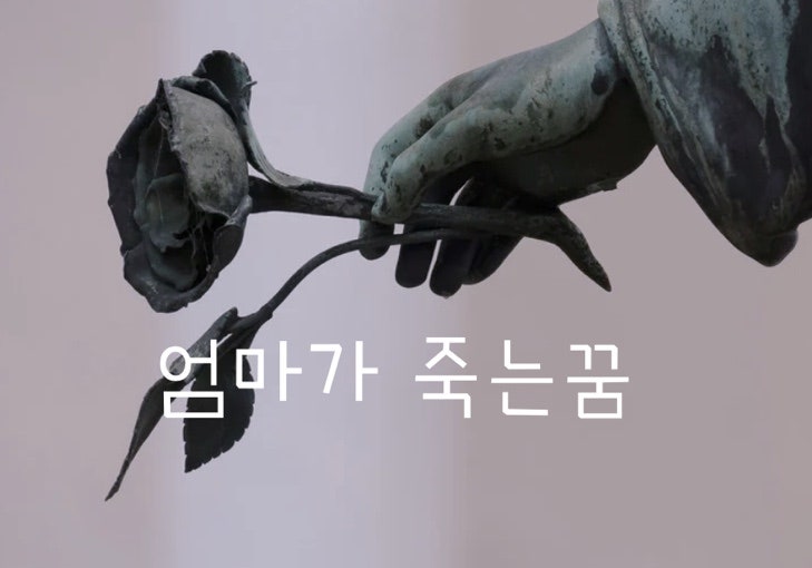 엄마가 죽는 꿈 꿈풀이 총정리 해드립니다