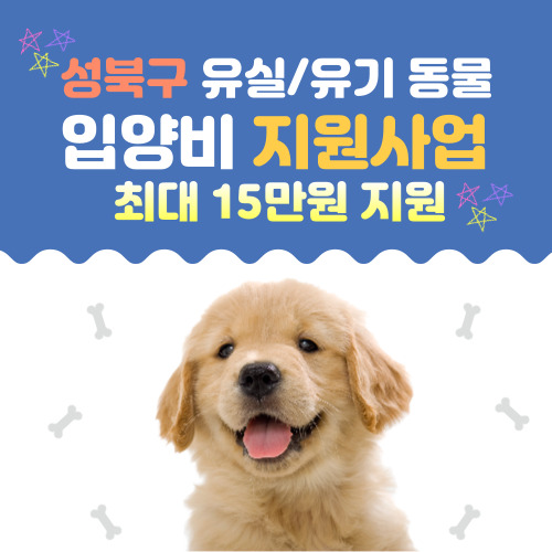 서울시 성북구 2023 유실, 유기견 동물 입양비 최대 15만 지원 받기!
